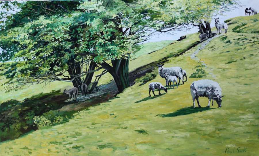 Hillside landscape with sheep. . 